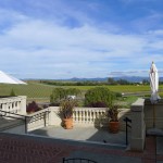 Domaine Carneros Winery - endless vineyard-covered hills. NE view.