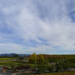 Domaine Carneros Winery - endless vineyard-covered hills. W view.