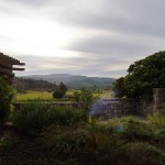 Robert Sinskey Vineyards - view to the west.