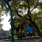 MA swinging in a park in Old Town Sonoma.